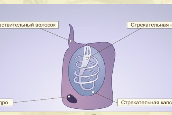 Кракен кз