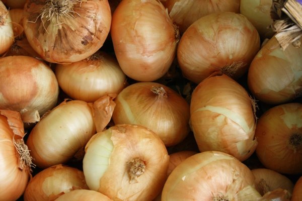 Закладки сайты кракен onion top