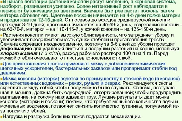 Что такое кракен маркетплейс в россии
