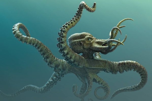Kraken 17at