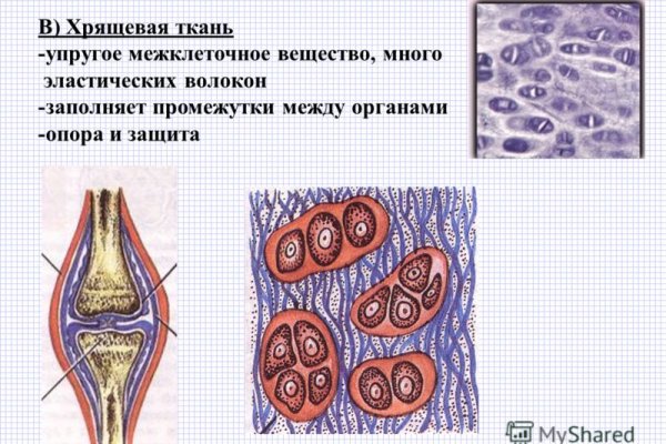 Как зайти на кракен браузеры