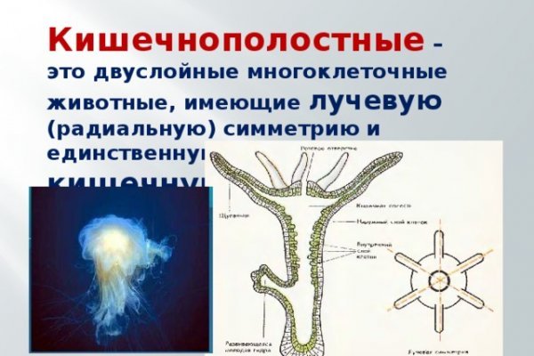 Кракен сайт покупок