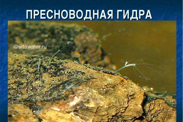 Кракен маркет что это