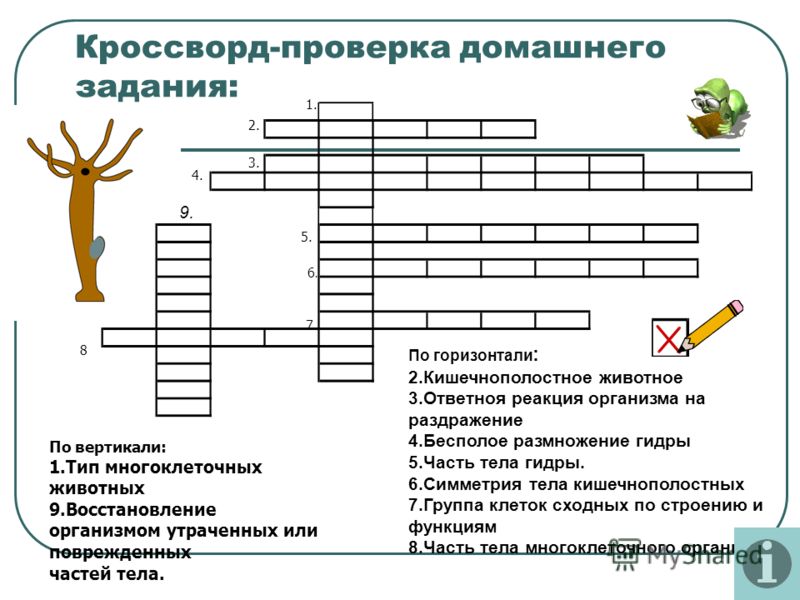 Сайт мега кракен