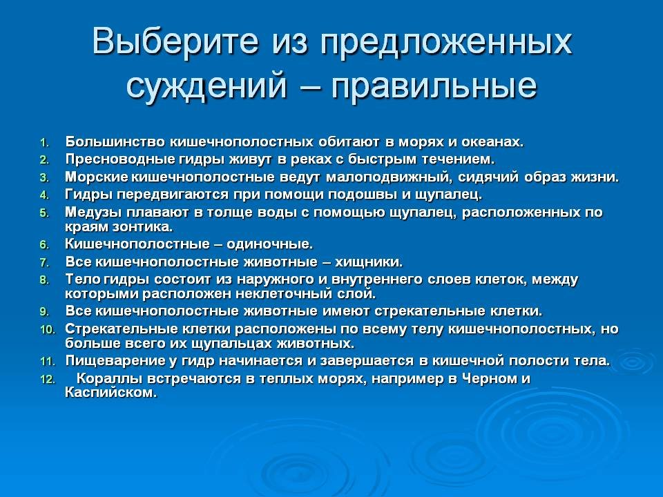Kraken официальный сайт вход